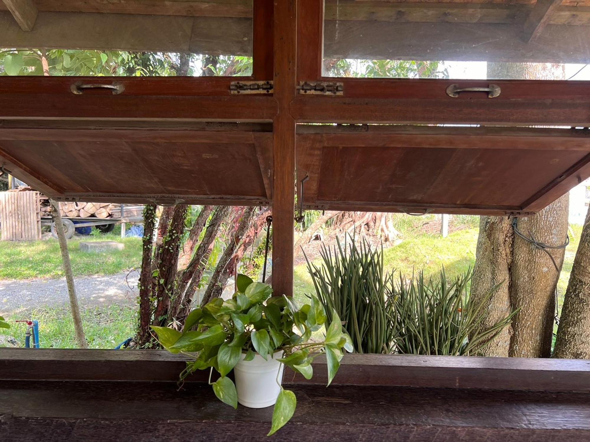 Pang Mai
