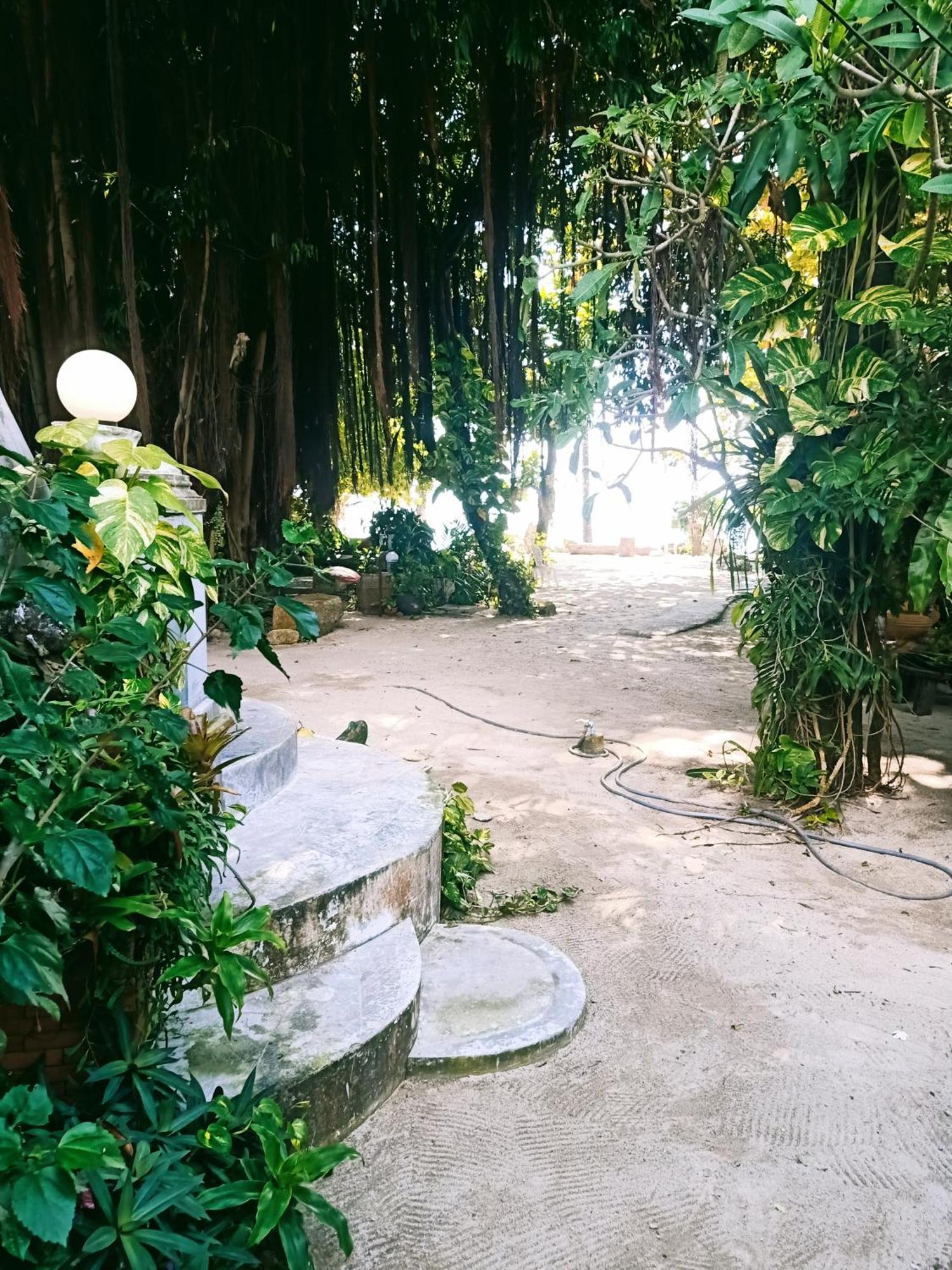 Homestay Anodash
