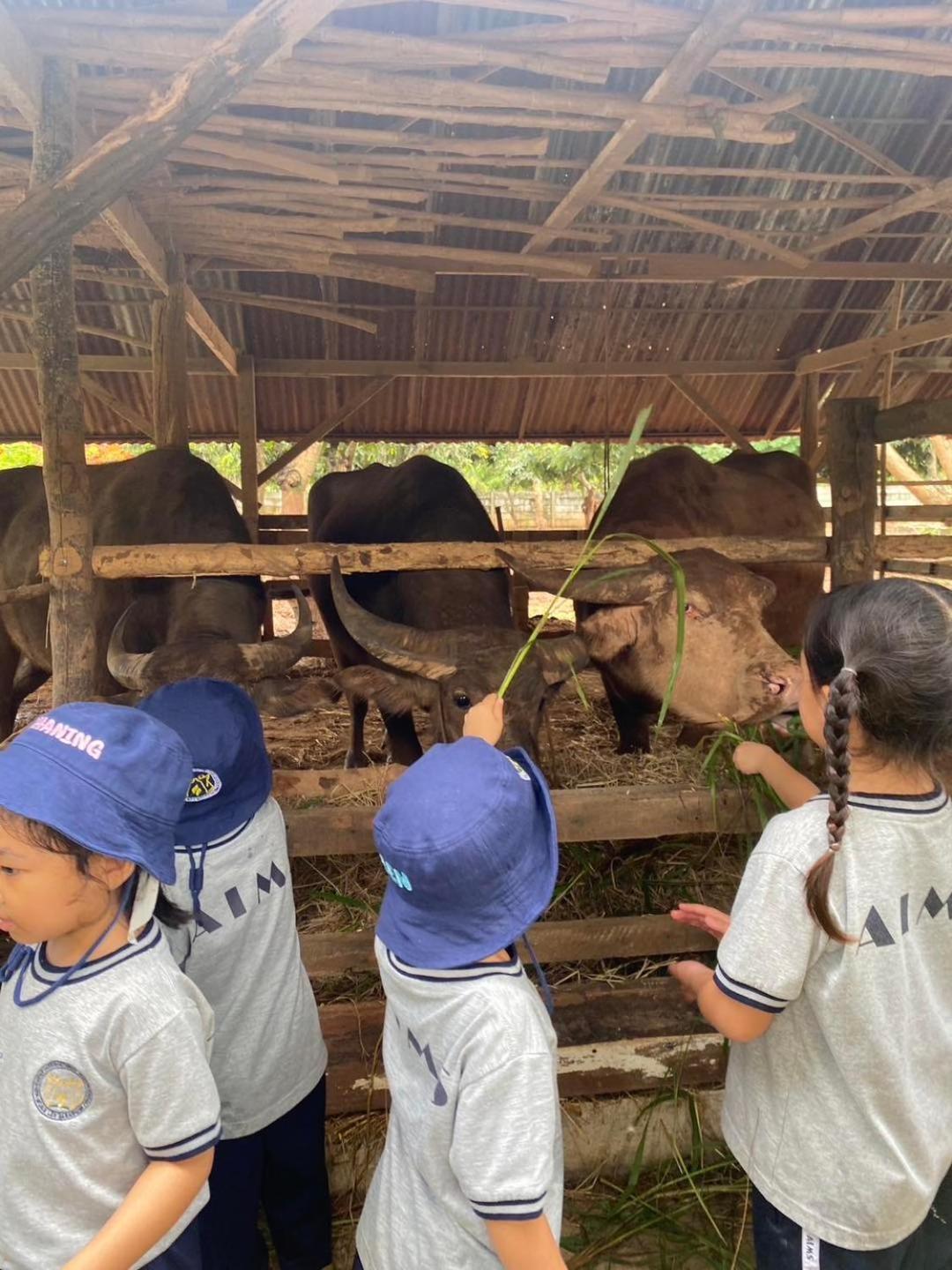 Baan Nork บ้านนอก Farm stay