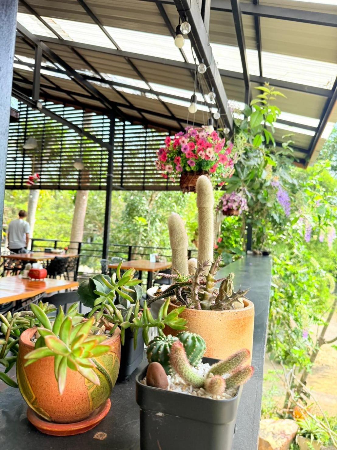 Resort Baan Suan Hill Ban Tha Khun