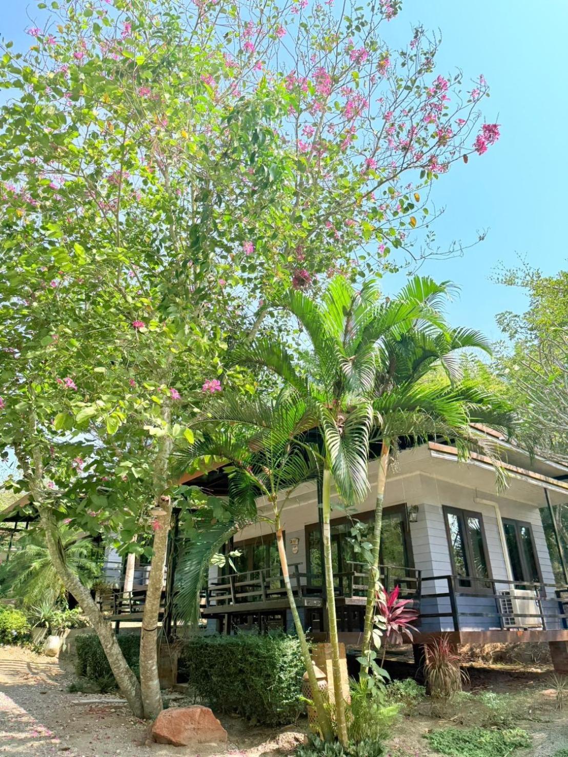 Baan Suan Hill 3*