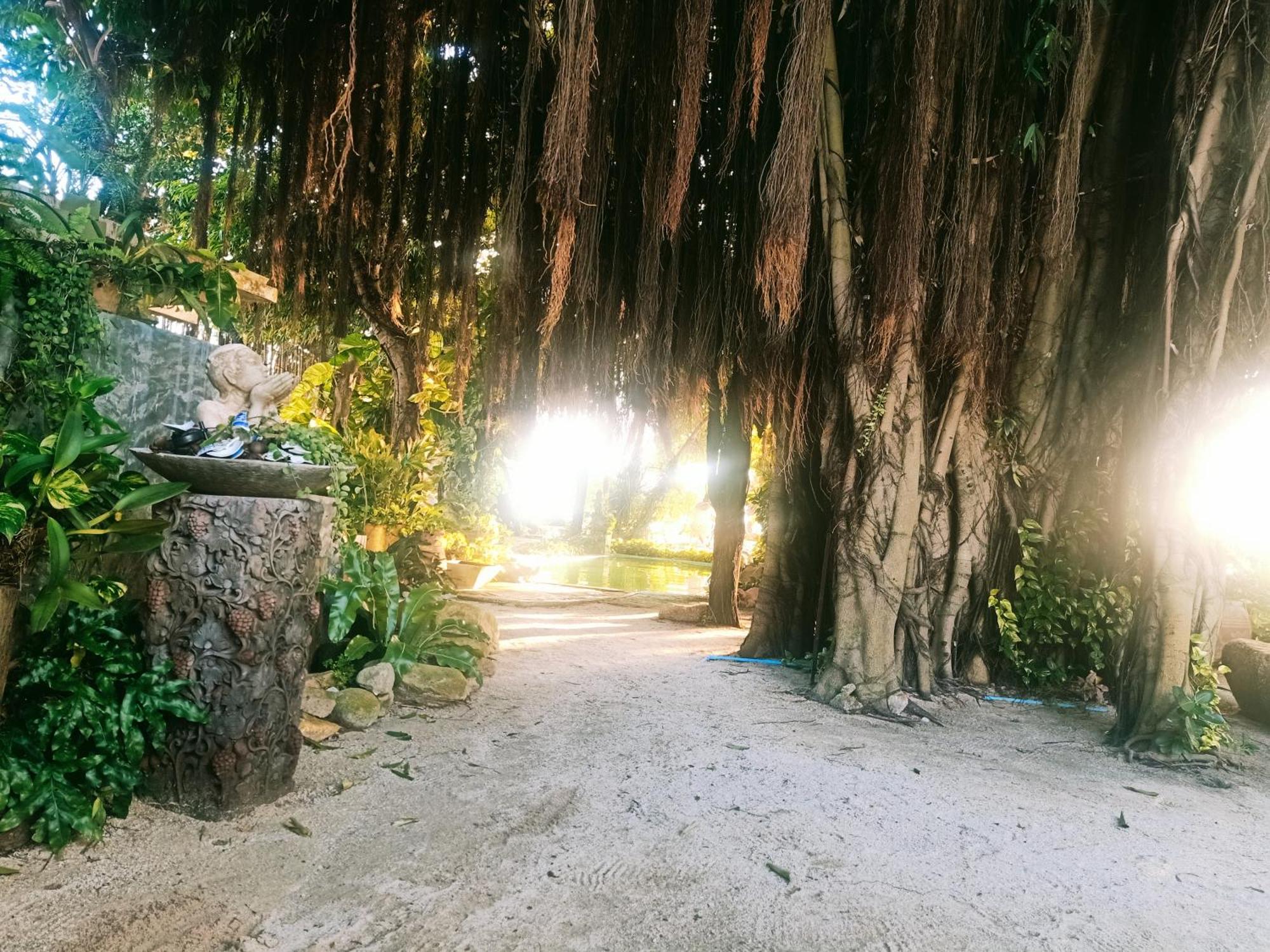 Anodash Baan Tai