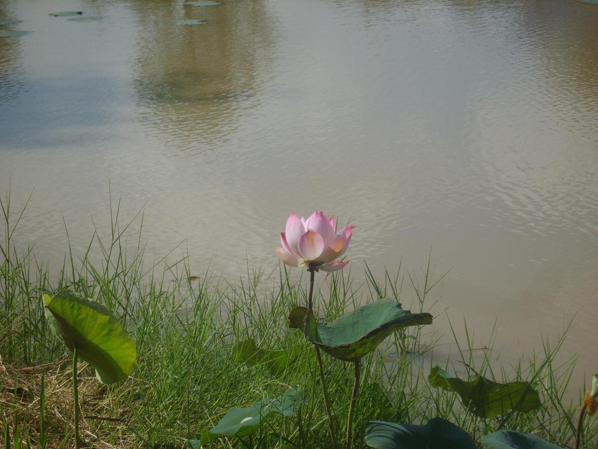 Resort Chomna 2*