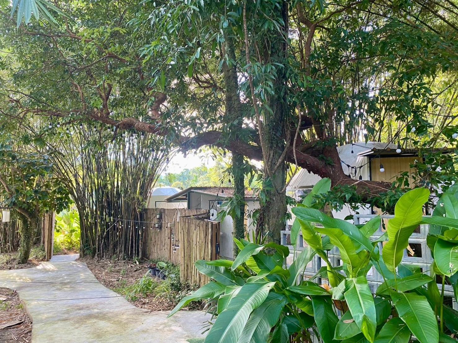 Baan Nai Baan Nok