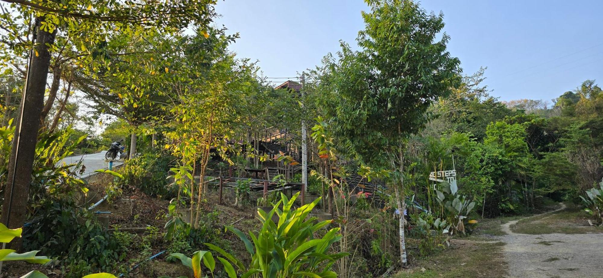 Khao Sok Horizon Resort