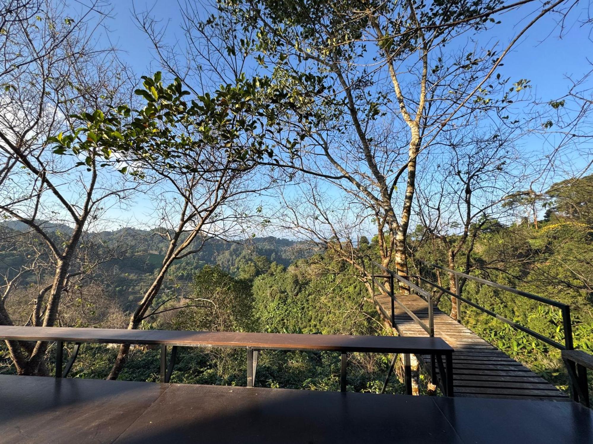 Farm stay Ma Family Coffee Farm ไร่กาแฟครอบครัวมะ Chiang Rai