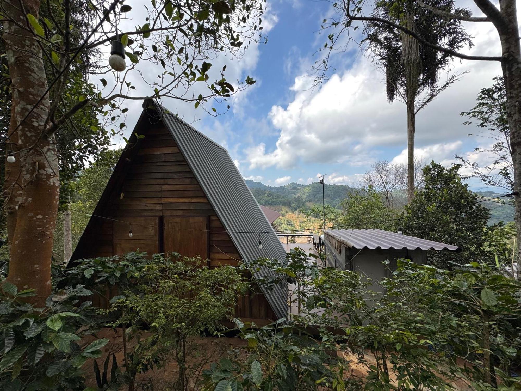 Ma Family Coffee Farm ไร่กาแฟครอบครัวมะ Farm stay *