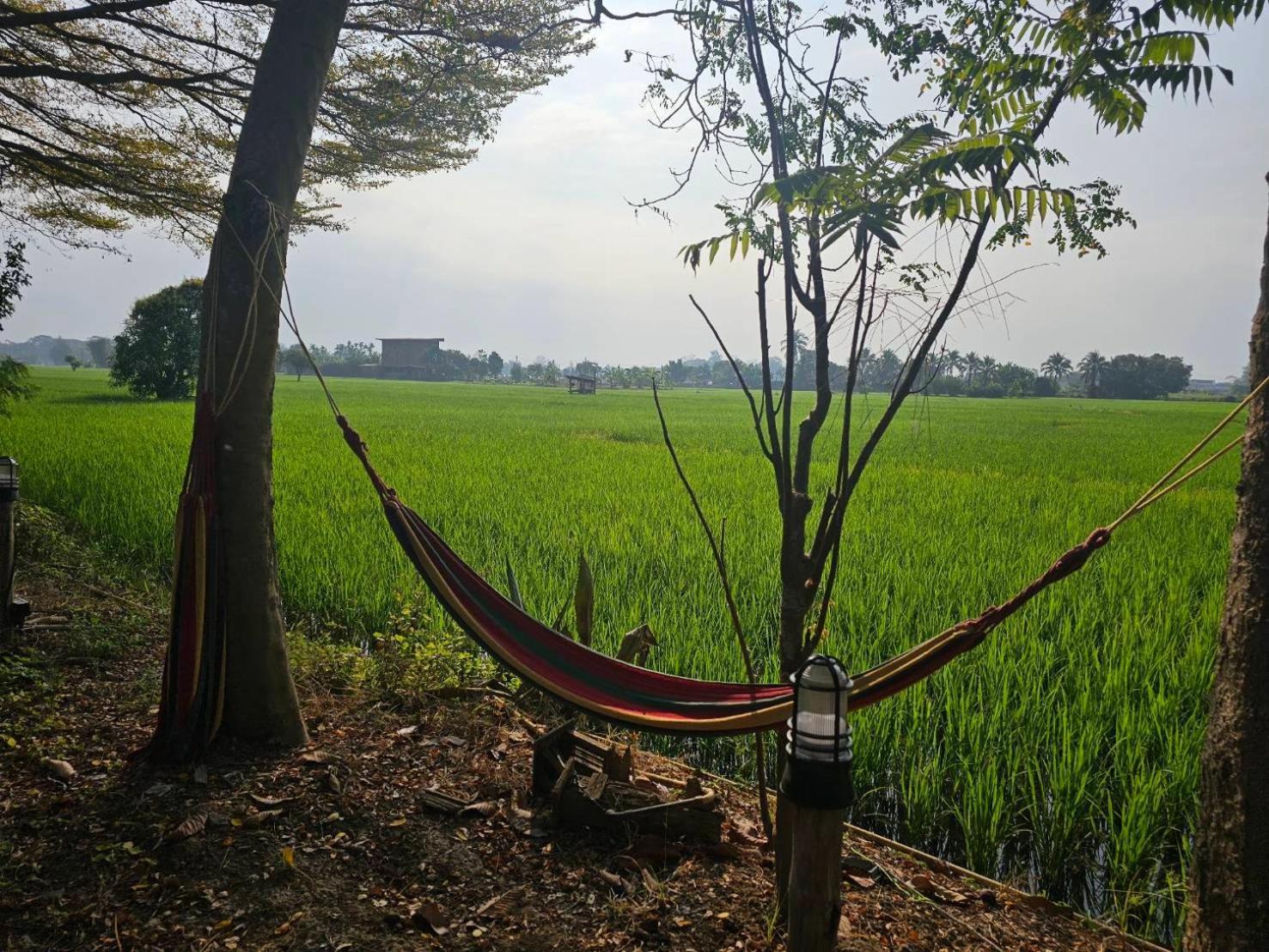 Tung Tong & * Mae Rim