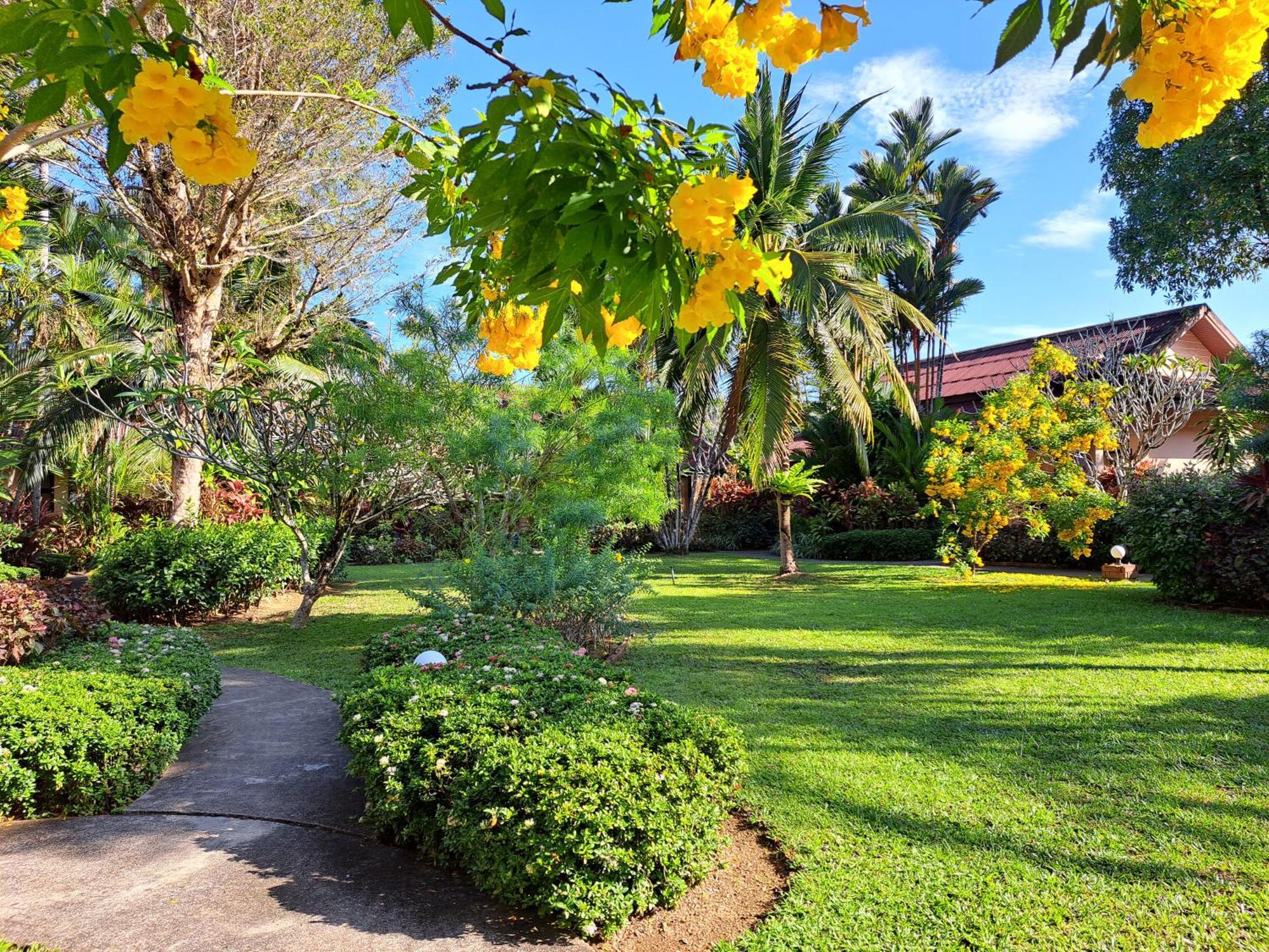 Jasmin - Sha Resort Khao Lak