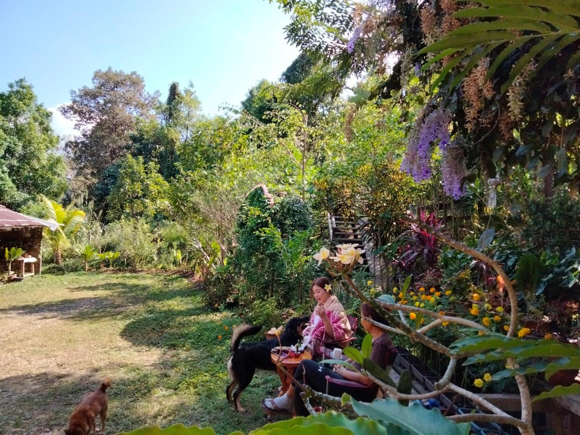 Ban Suan Nai Fun * Pua