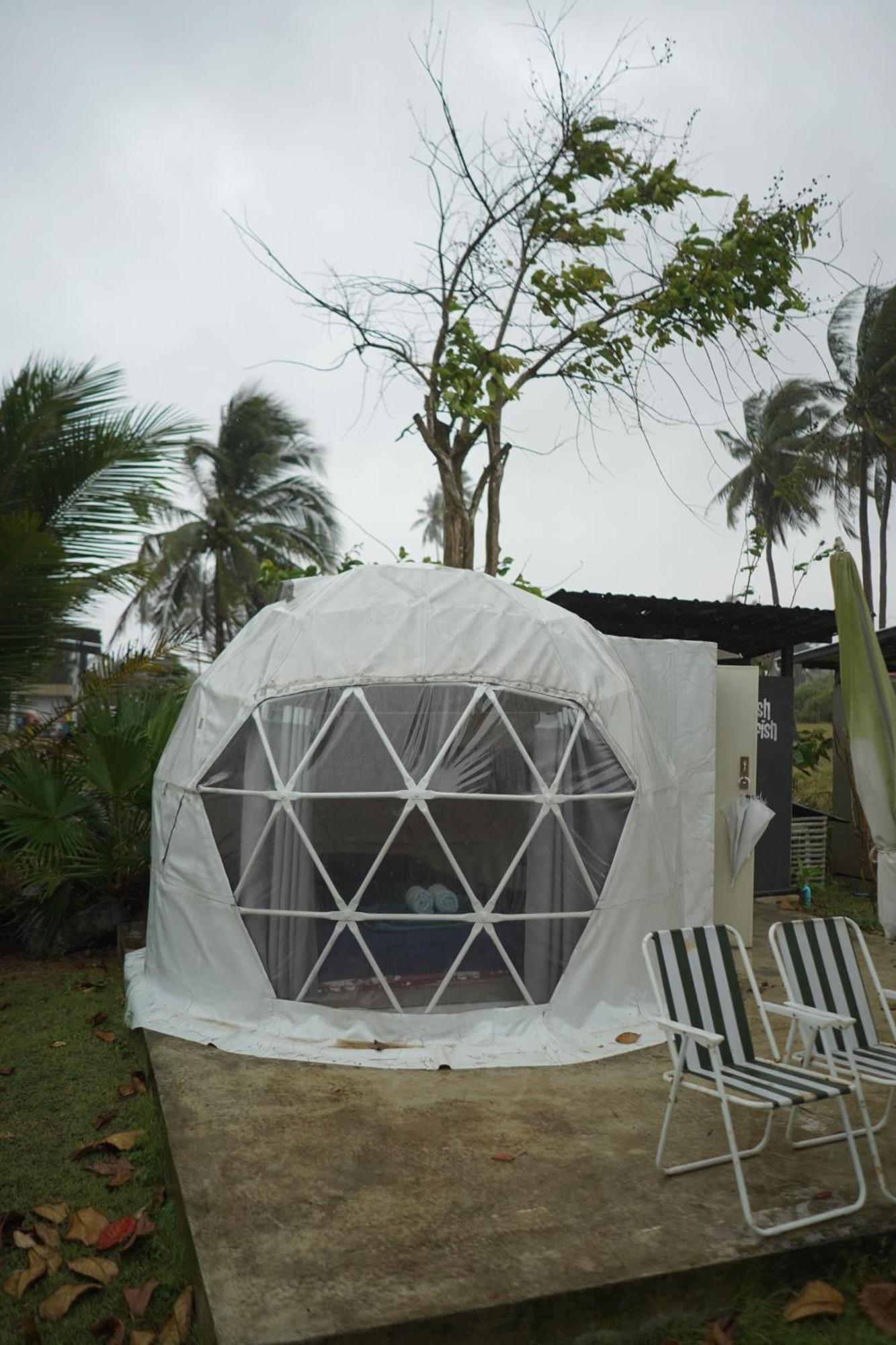 Resort Patdra Glamping *