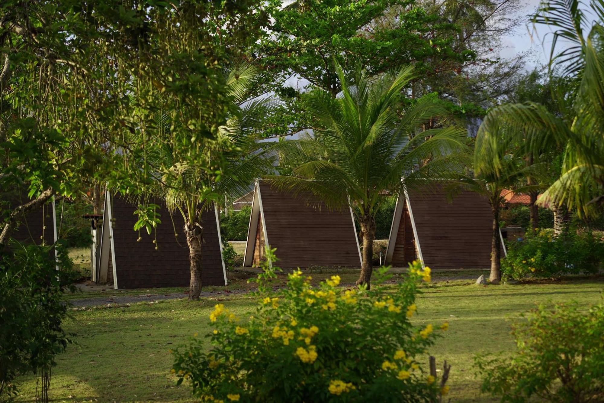 Resort Patdra Glamping *