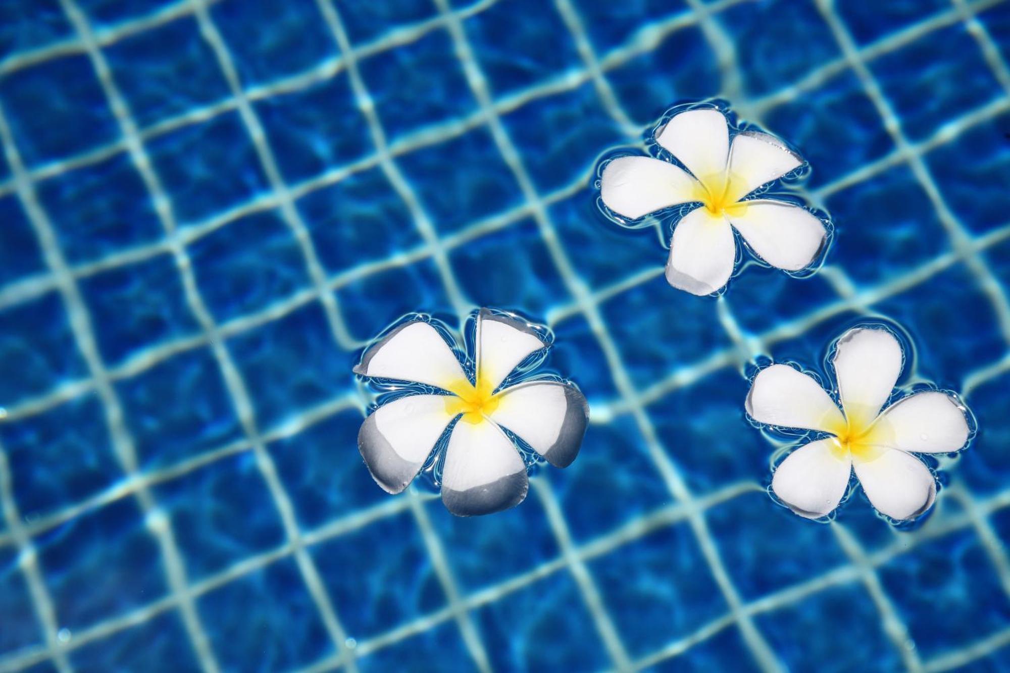 Bangtao Tropical And *