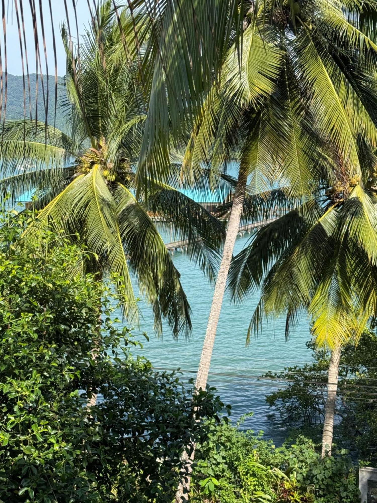 Resort Island View 3*