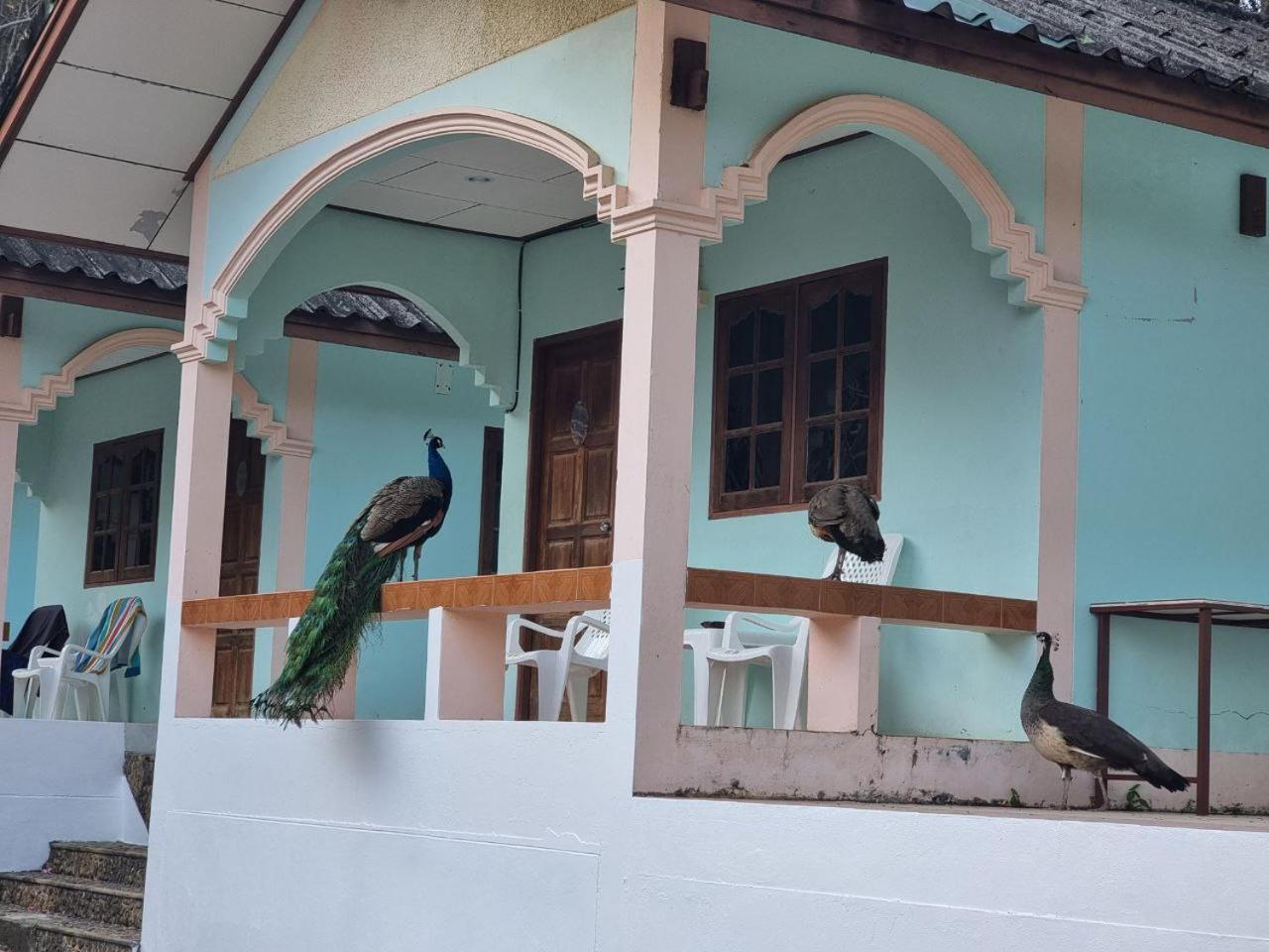 Hotel Private Paradise
