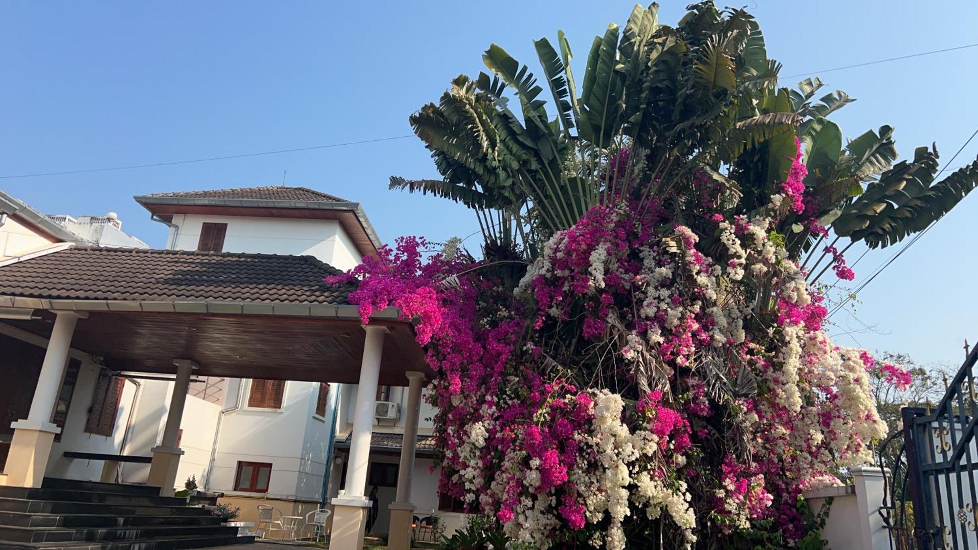 Bed & Breakfast Chiang Rai *