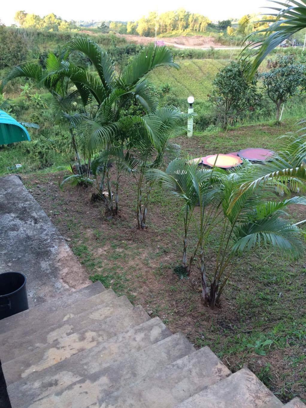 Baan Termsuk *
