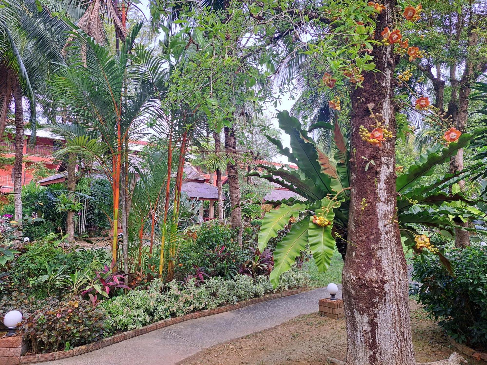 Jasmin - Sha Resort Khao Lak