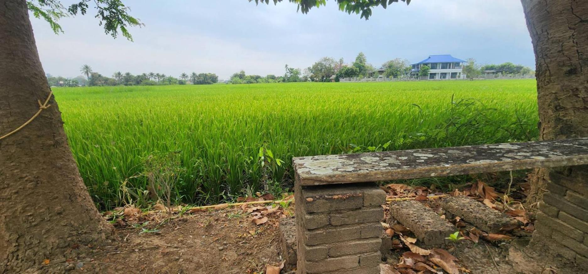 Tung Tong & Mae Rim