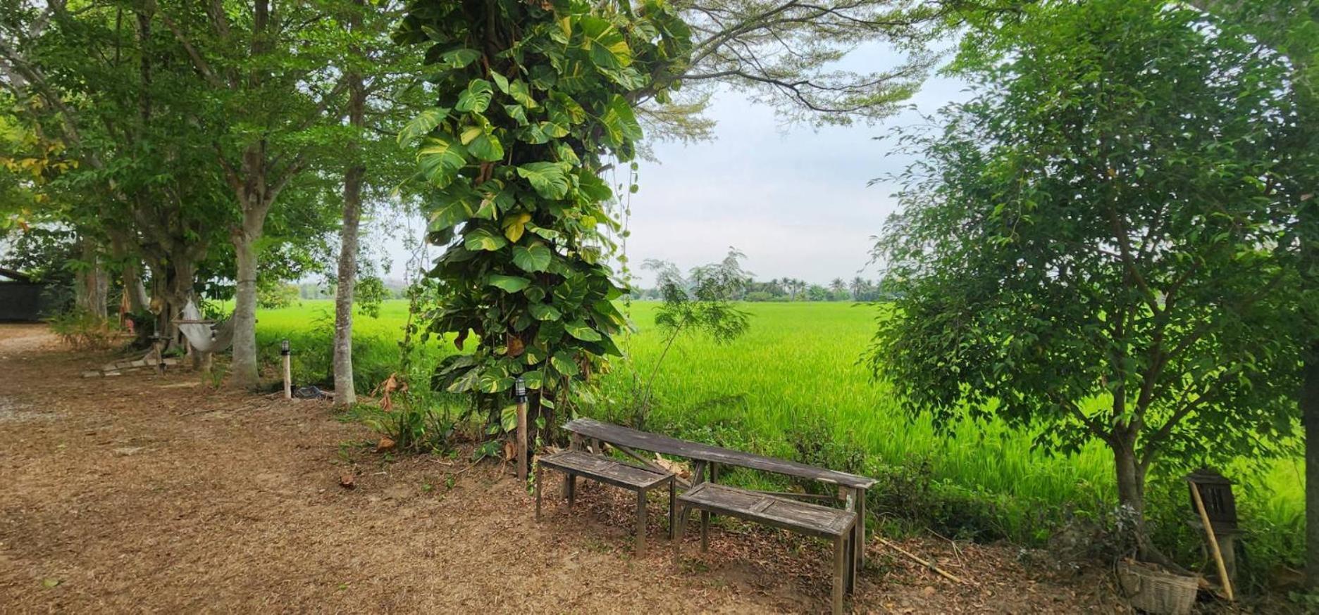 Tung Tong & * Mae Rim