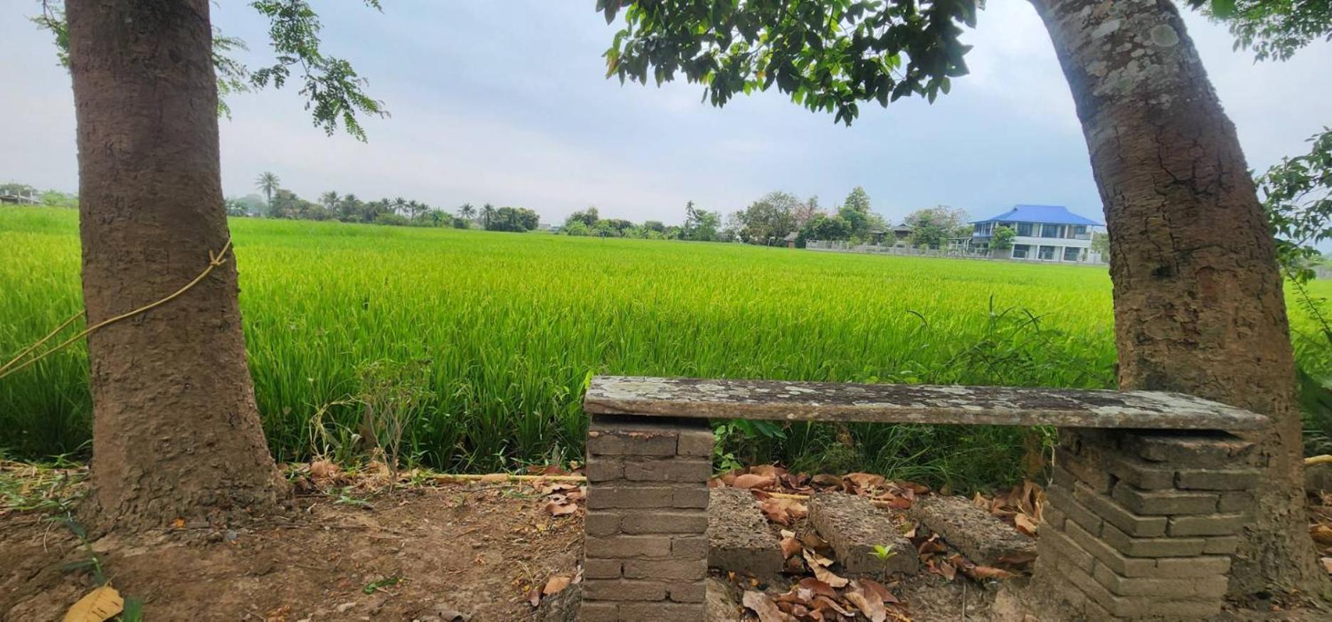 Tung Tong & Mae Rim