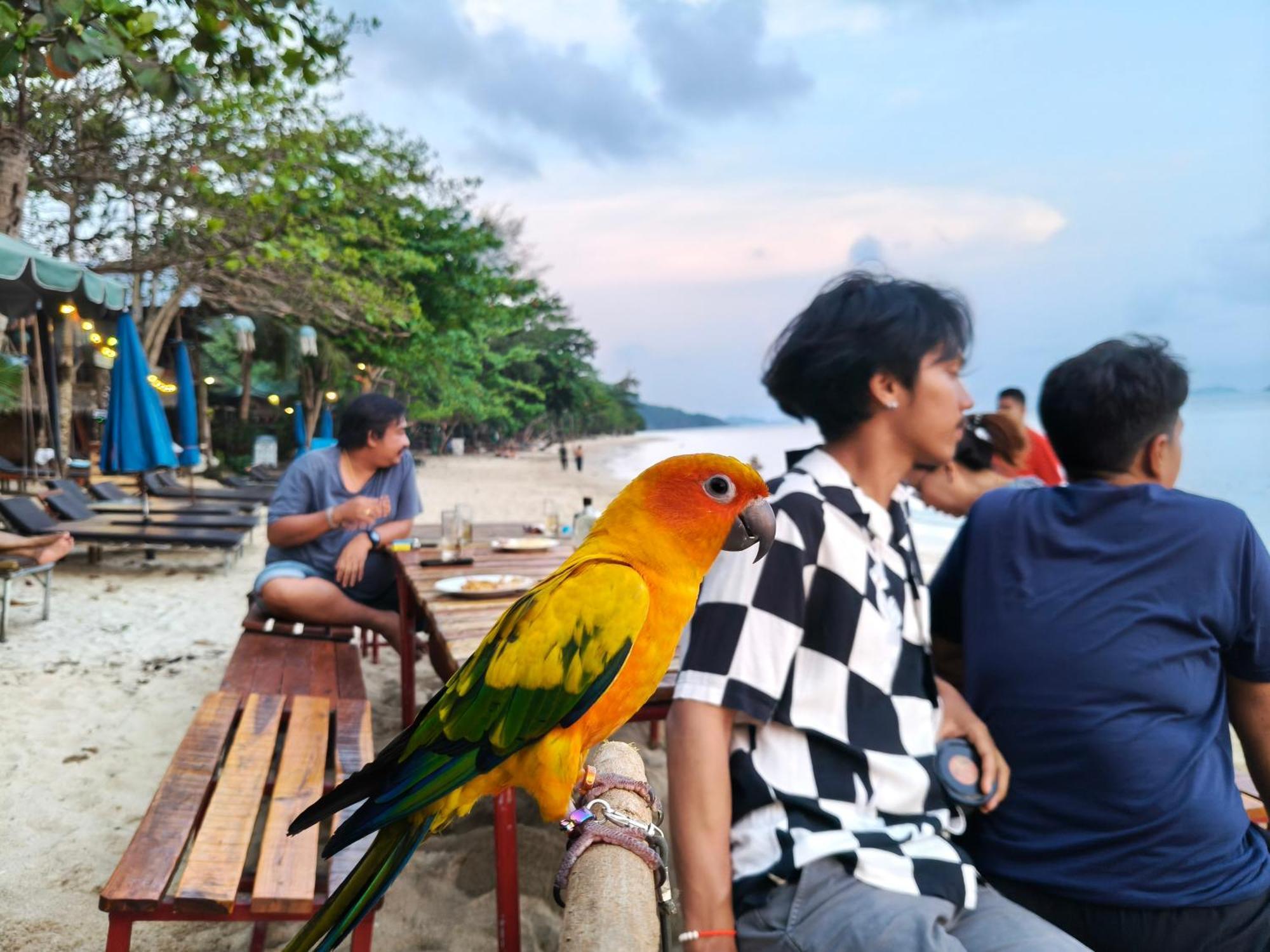 Yuyu Golden Koh Chang