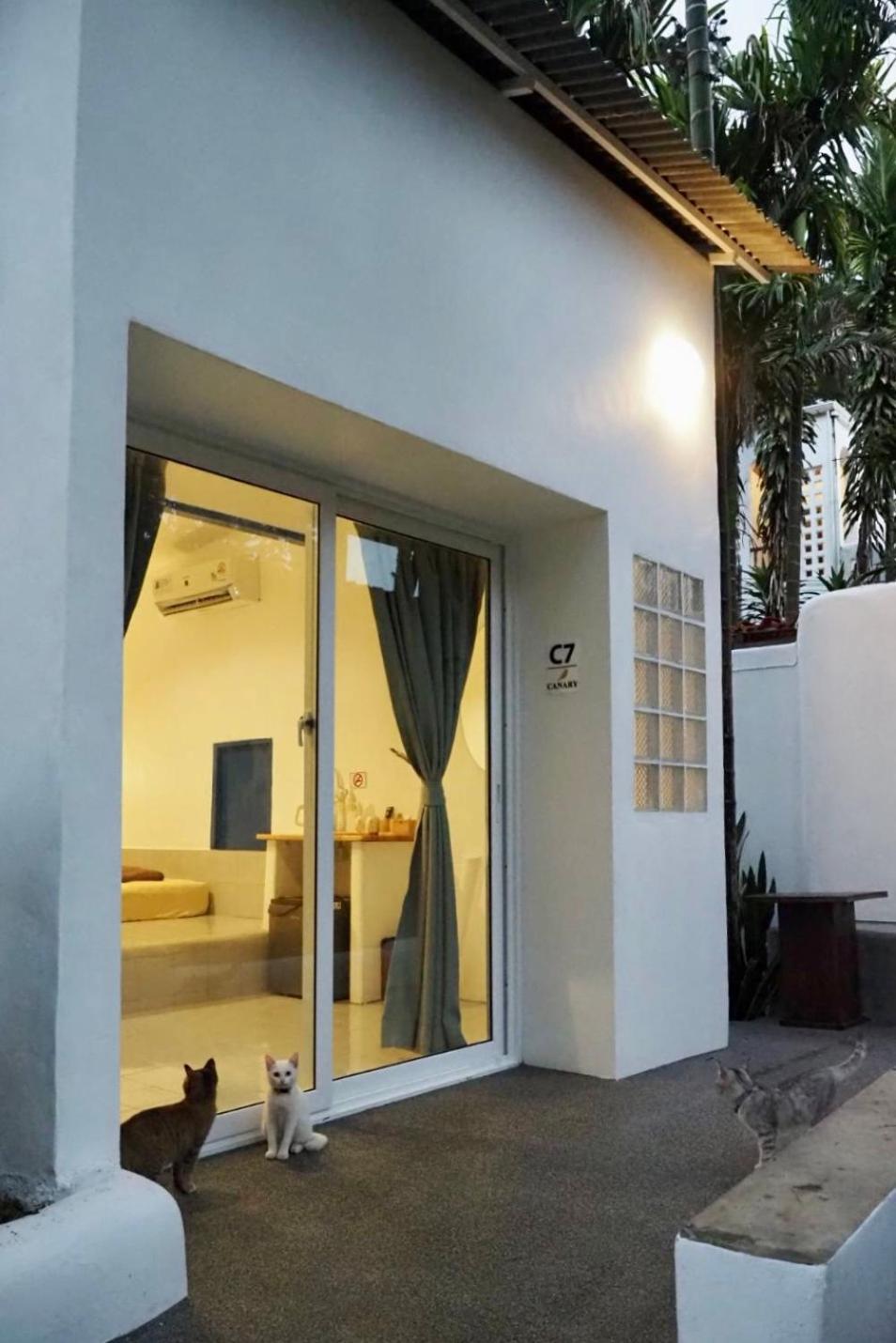 Canary Guest house