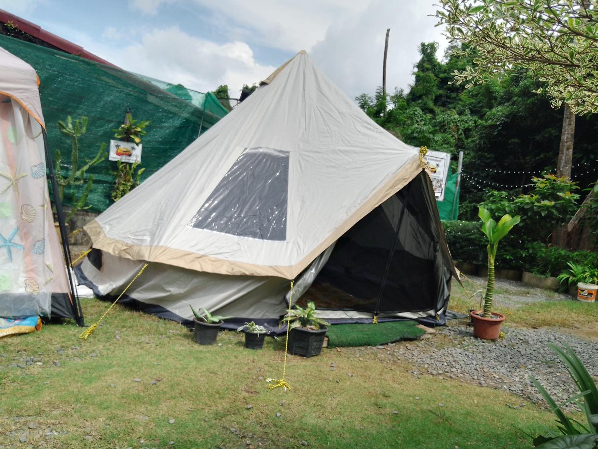 Mateoasis