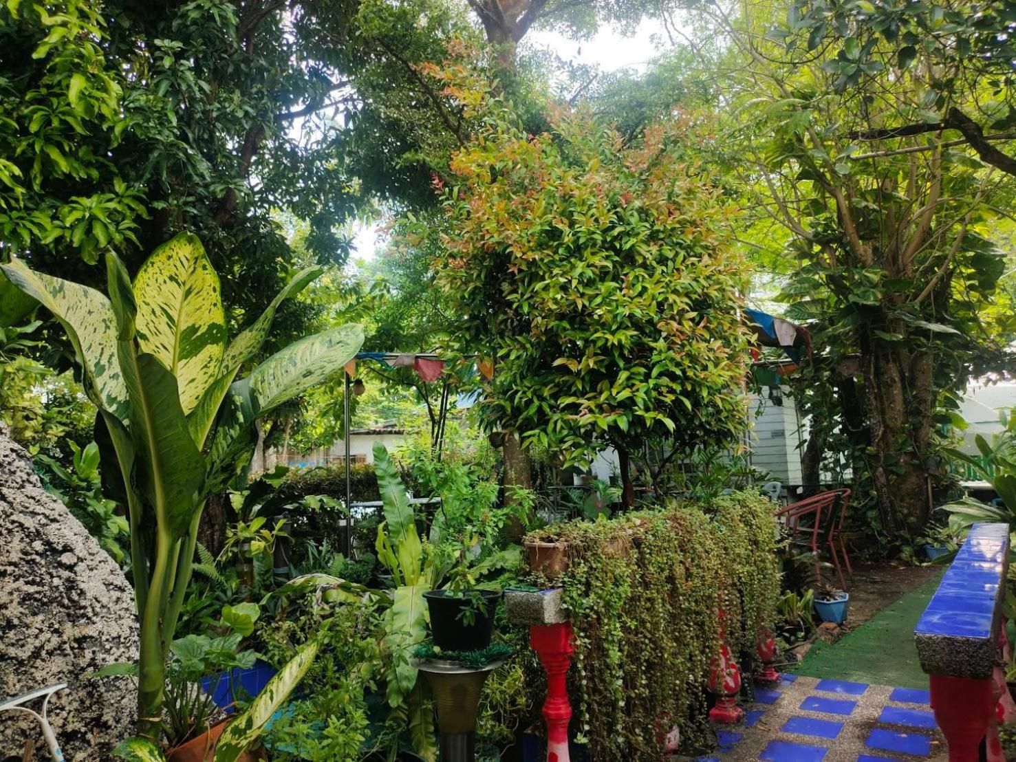 Everest Samui - Sha Resort 3*