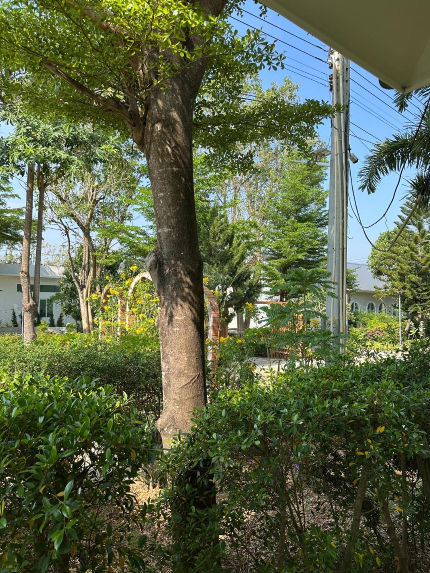 Blue Sky Khao Yai Hotel