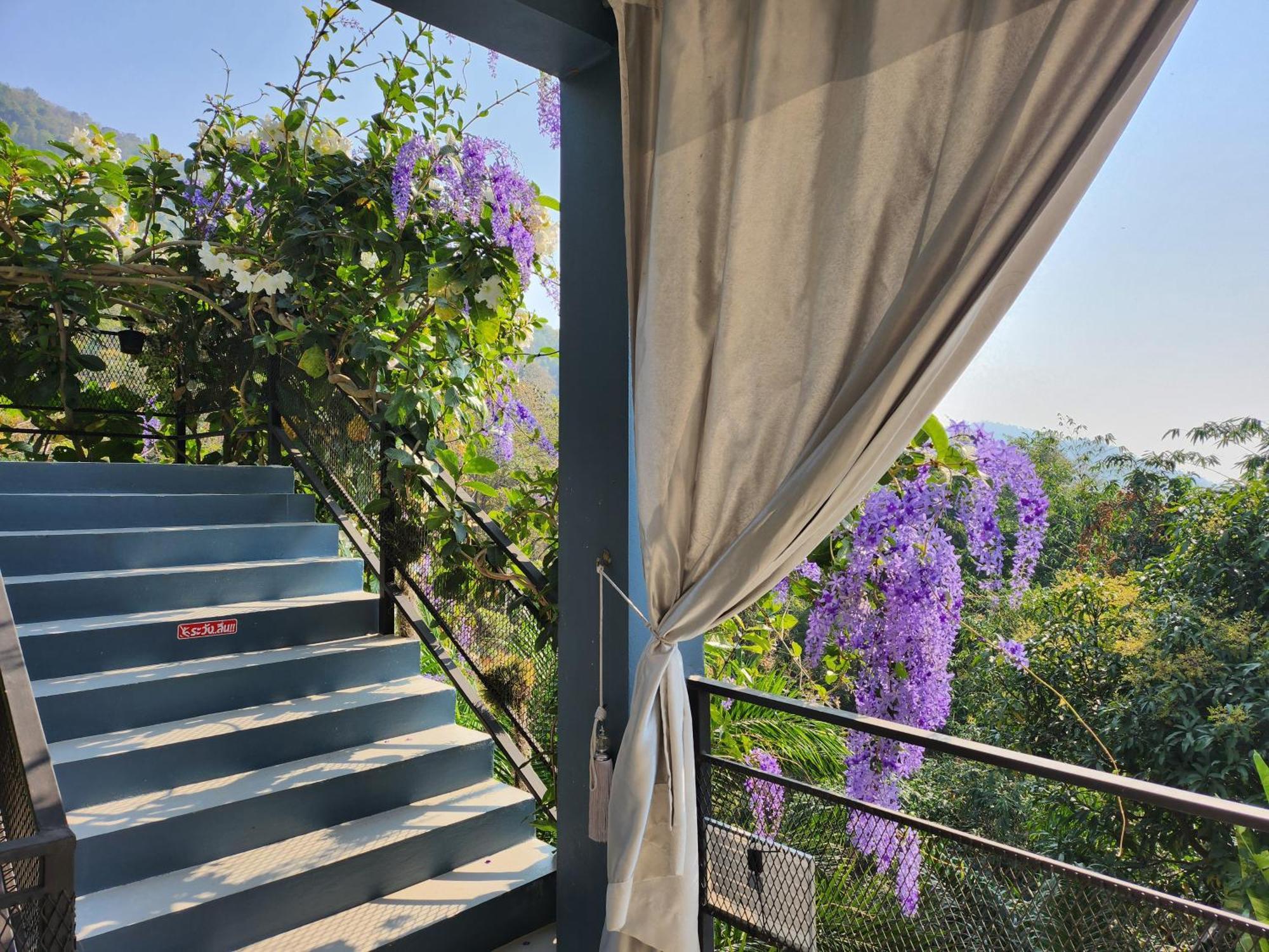 บ้านภูคำฟ้า ดอยปู่ไข่ Baan Phu Kham Fah Chiang Rai
