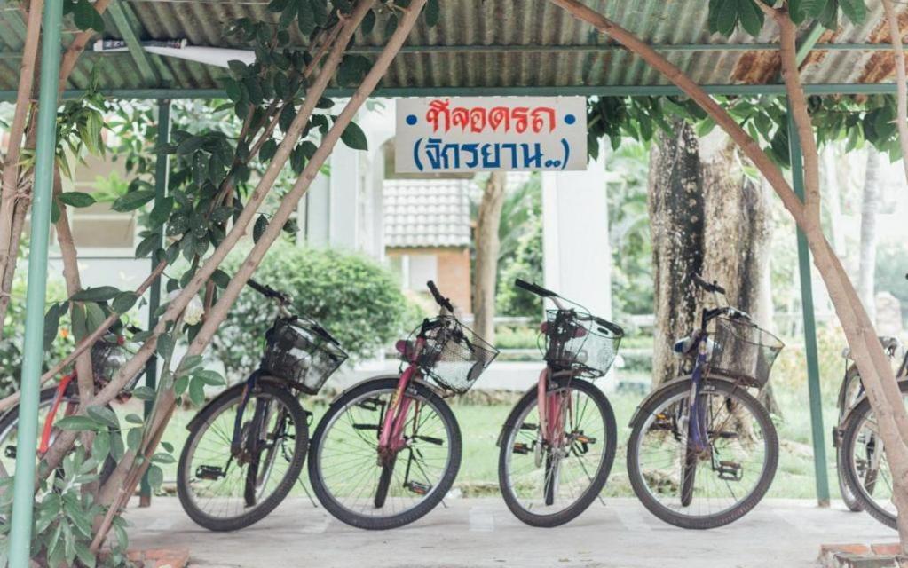 The Pine Resort