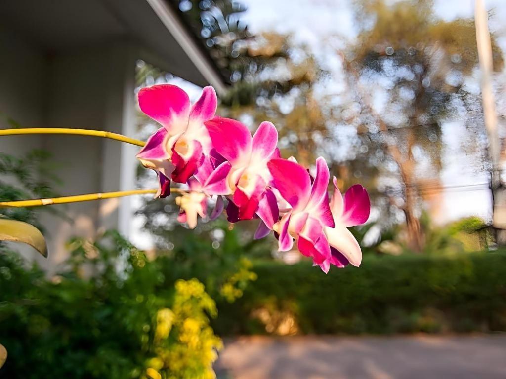Chayada Garden House And Resort 3*
