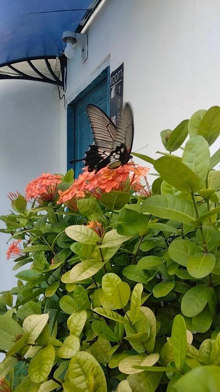 Baan Sawaan Patong