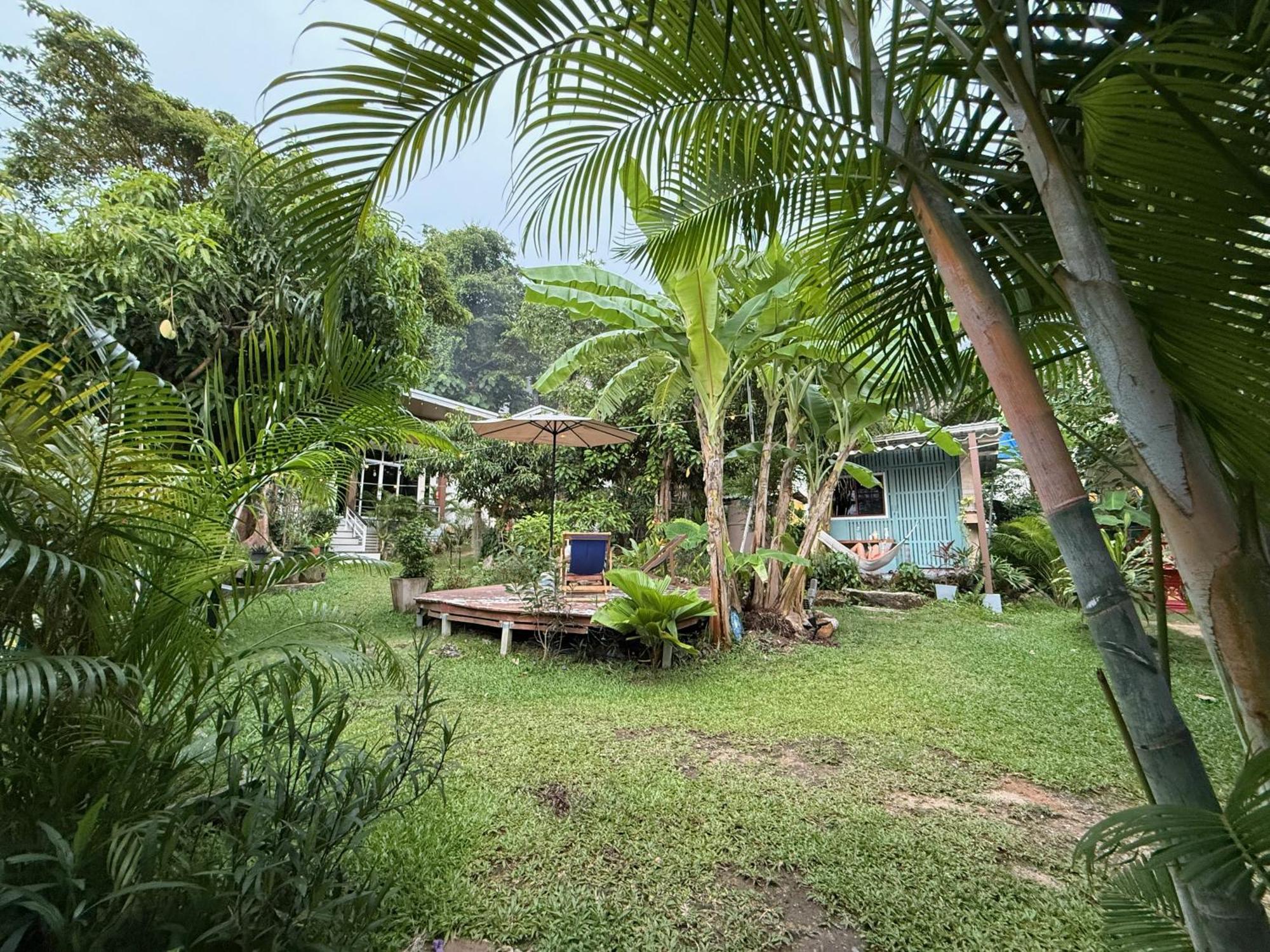 Jungle Guest house *