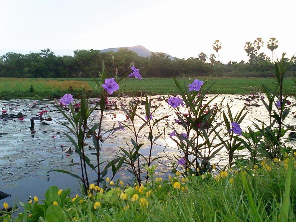 Resort Banrai Chernma Tak