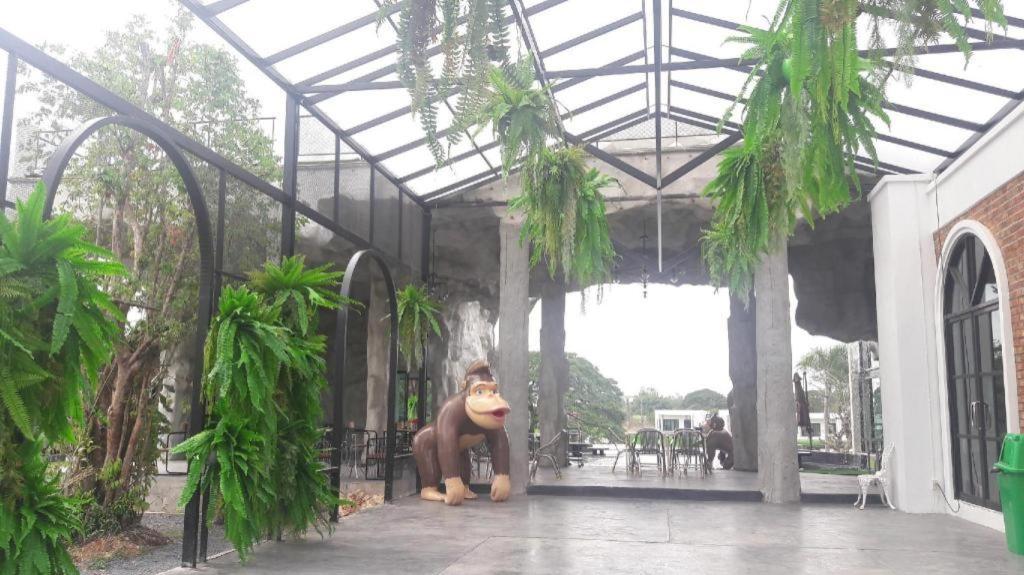 I View Park Ban Non Sung (Udon Thani)
