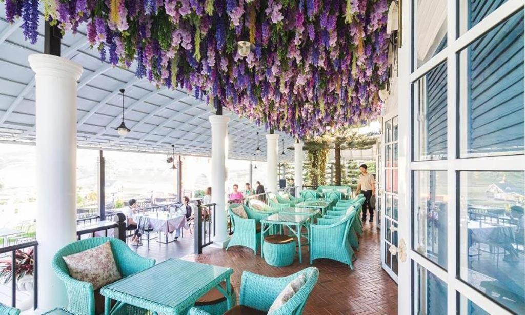 Resort The Bluesky @