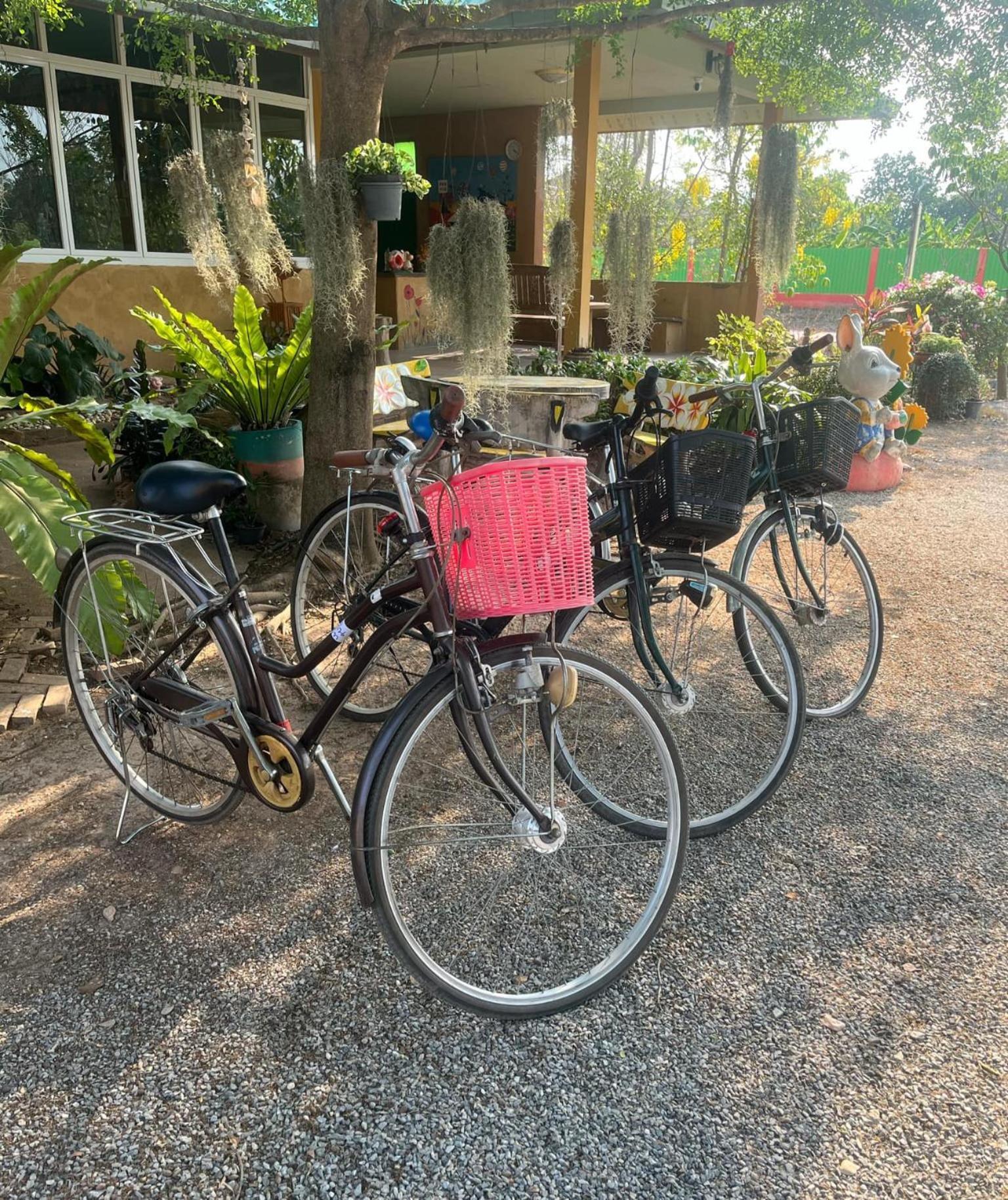 Resort Baandin 2*