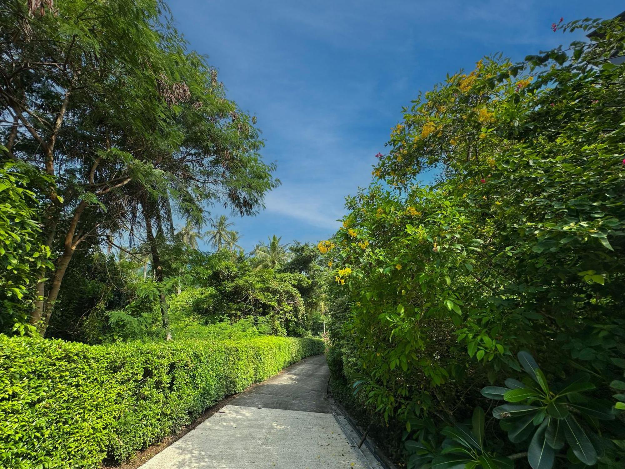 Villa Lulu Mae Nam