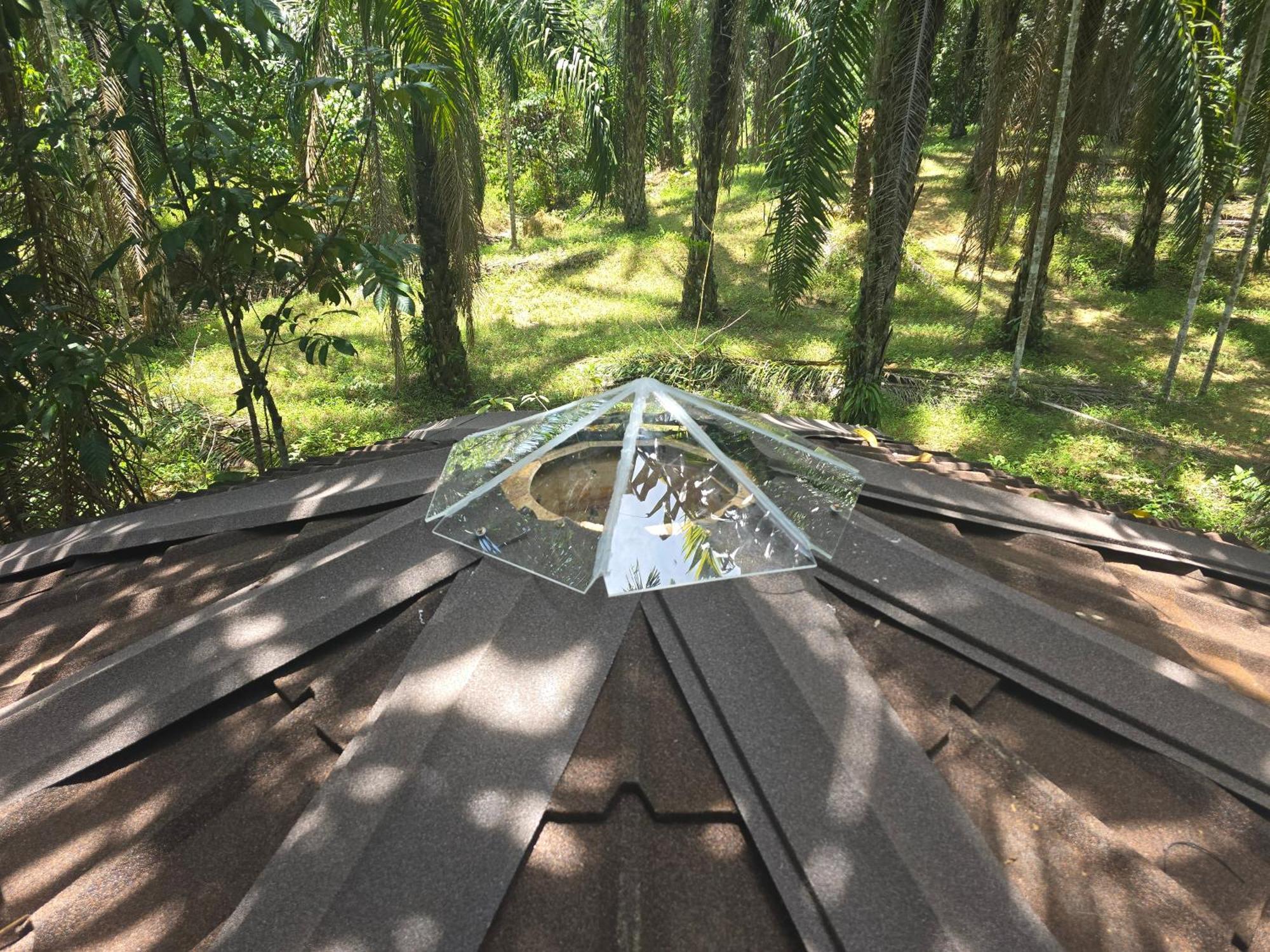 Khao Sok Silver Cliff