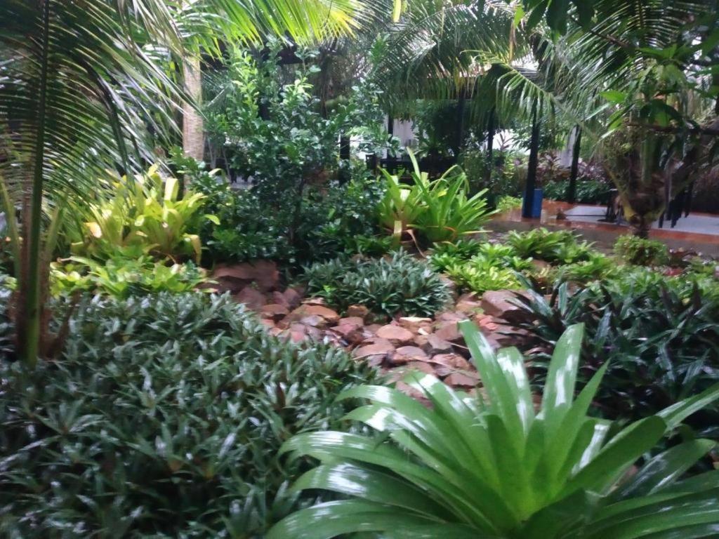 Garden 3*
