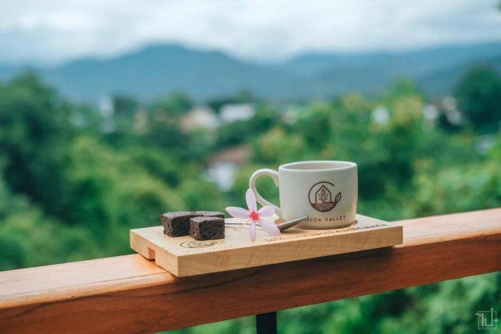 Cocoa Valley