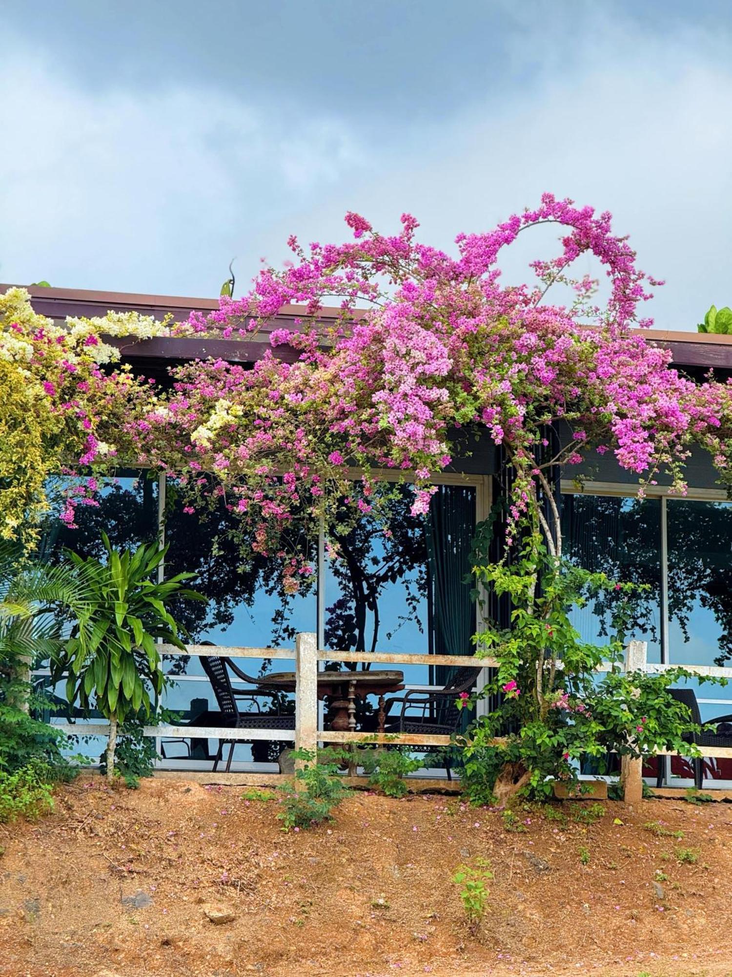 Viewpoint Phang Nga