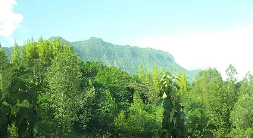 Resort Breeze Hill