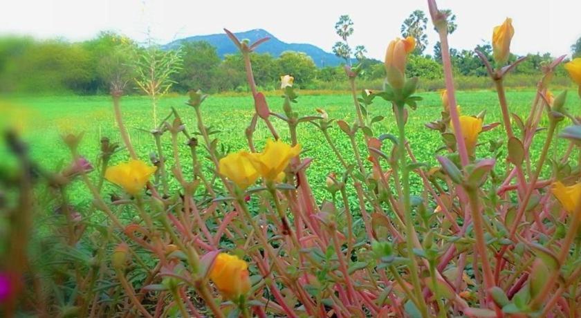 Banrai Chernma Resort Tak