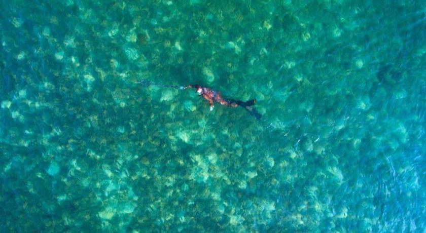 Phangan Rainbow