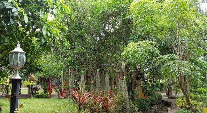 Phuiyara
