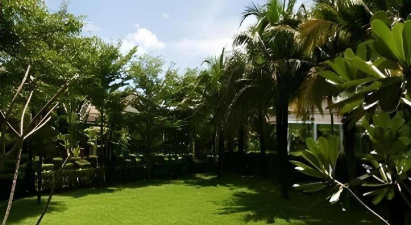 Resort The Forest Nakhon Nayok