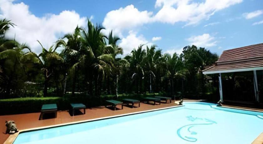 Resort The Forest